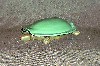 turtle box view 1